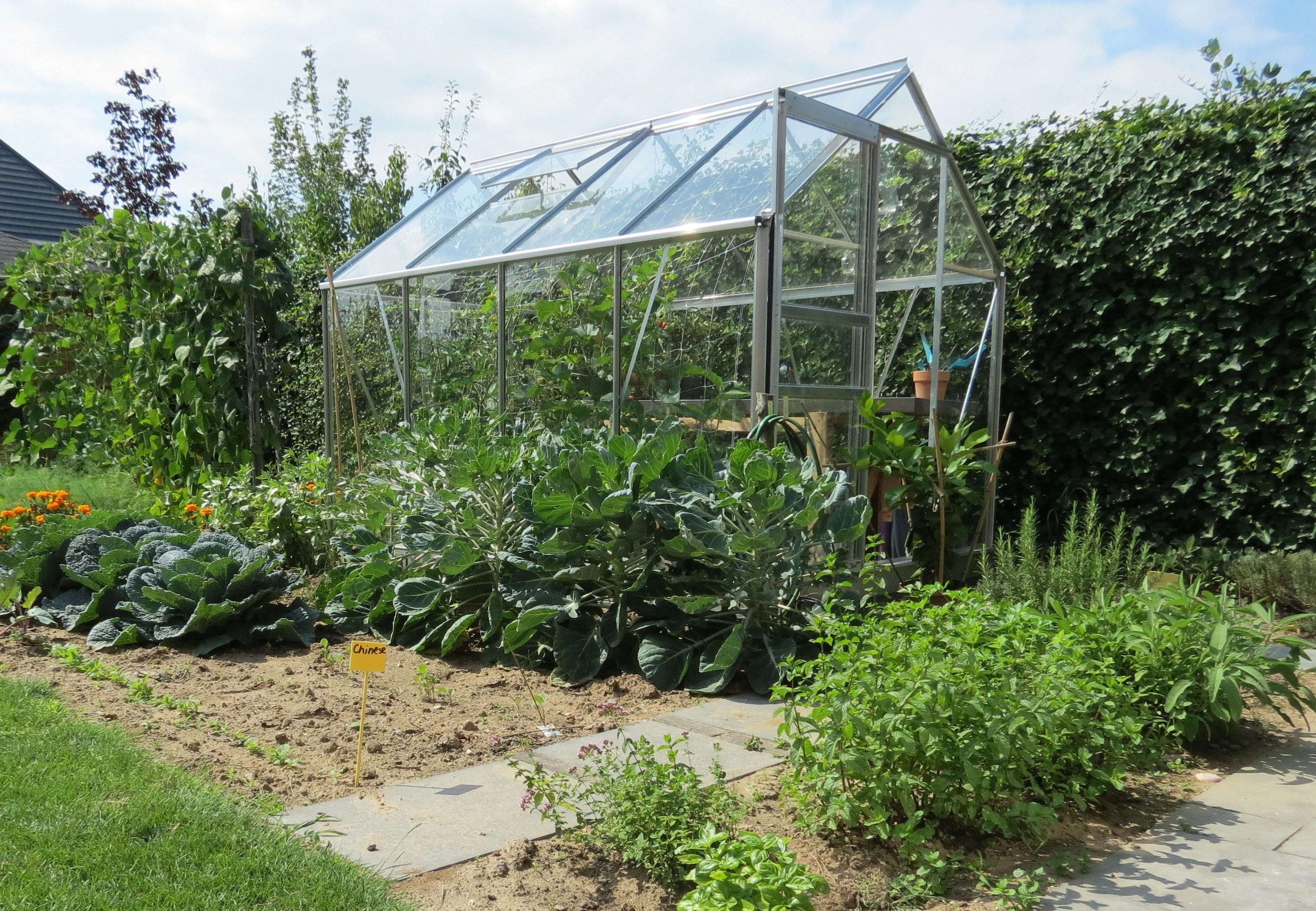 Royal Well Tuinkas Popular 86 Tuindersglas 3 mm - Afbeelding 7